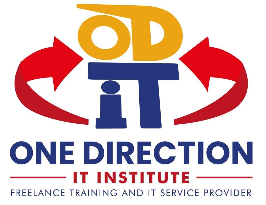 One Direction It Institute