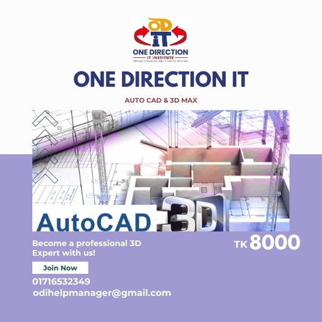 One Direction IT. Auto Card and 3D Max Course Template